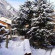 Residence Odalys Les Grandes Chalets 