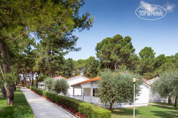 Apartments Galijot Plava Laguna