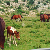 Villa Yanko Natur Park Biokovo