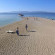 Zlatni Rat Beach 