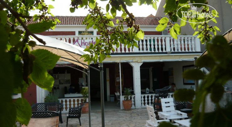 Фотографии отеля  The Wild Fig Hostel 