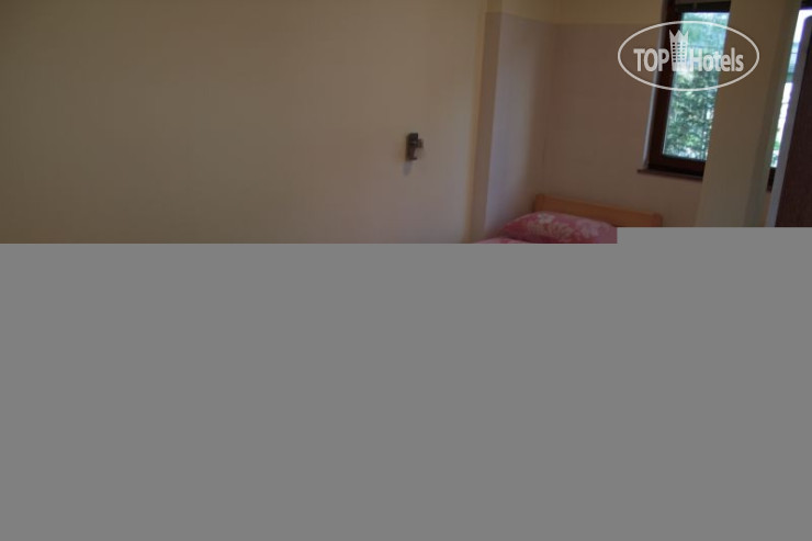 Новые добавленные фото туристов Favela Hostel