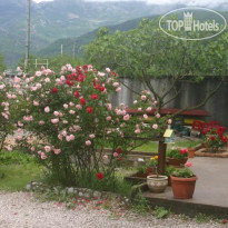 Savina Apartments
