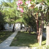 Villa Branka 