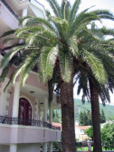 Villa Monte Royale
