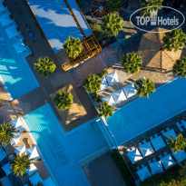 Monte Palm Beach 