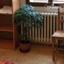 Cafe Hostel 