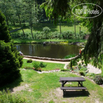 Harmonie Wellness 