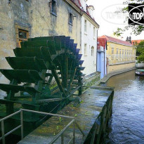 Kampa Garden Мельница