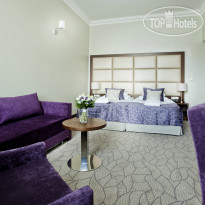 KING DAVID Prague Hotel Executive Room