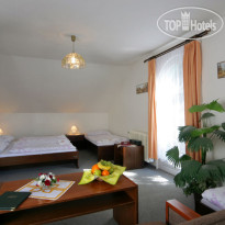 Albis Hotel & Pension  