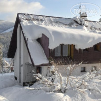 Simona Pension  
