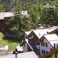 Marmotte 