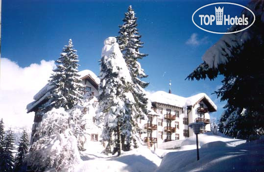 Фотографии отеля  Sunstar Alpine Hotel Flims 4*