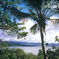 Dolphin Island Fiji 