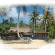 Waisalima Beach Resort & Dive Centre 