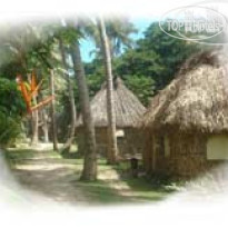 Waisalima Beach Resort & Dive Centre 