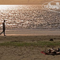 Aquarius On The Beach 