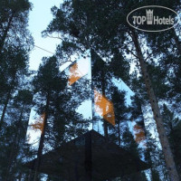 Treehotel 4*