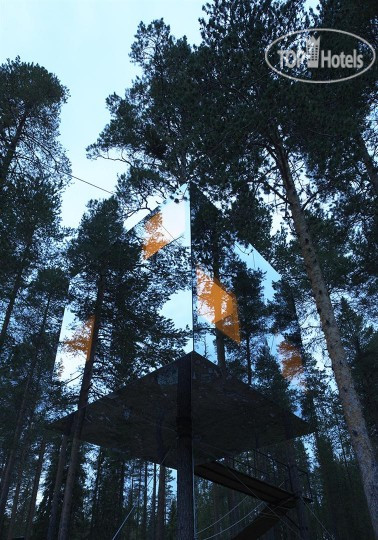 Фото Treehotel