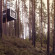 Treehotel 