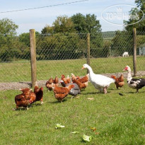 Newtown Farm Bed and Breakfast 