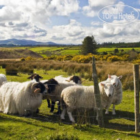 Newtown Farm Bed and Breakfast 