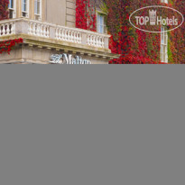 The Malton