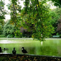Herbert Park
