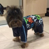 Фото пользователя ТопХотелс