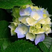 Фото пользователя ТопХотелс