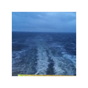 1567454