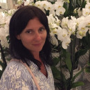 Алла Степанюк