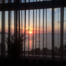 Ирина Уткина