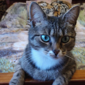 Фото пользователя ТопХотелс