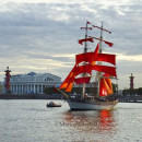 Роман Шамов