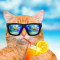 Mastercool