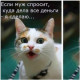 Фото пользователя ТопХотелс