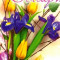ote_25