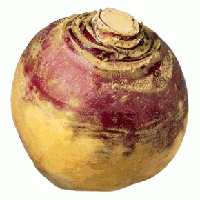 733860