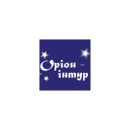 Орион Интур