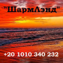 Мария Нэги