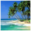 vijayalankatours@gmail.com Sergey