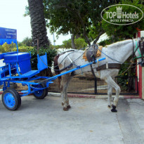 фото из отзыва ID 1000176