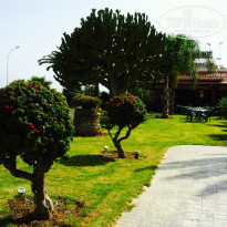 фото из отзыва ID 1001162