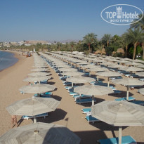 Novotel Palm 5 пляж