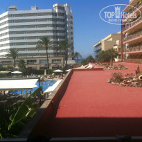 фото из отзыва ID 1010837