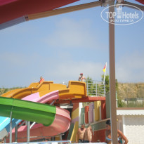 фото из отзыва ID 1012770