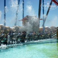 фото из отзыва ID 1017399