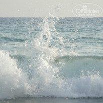 фото из отзыва ID 1017186